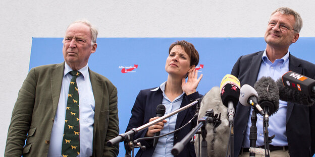 Alexander Gauland, Frauke Petry und Jörg Meuthen hinter Mikrofonen