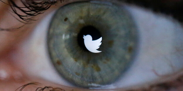 In einem Auge ist ein kleines weißes Twittersymbol zu sehen In einem Auge ist ein kleines weißes Twittersymbol zu sehen