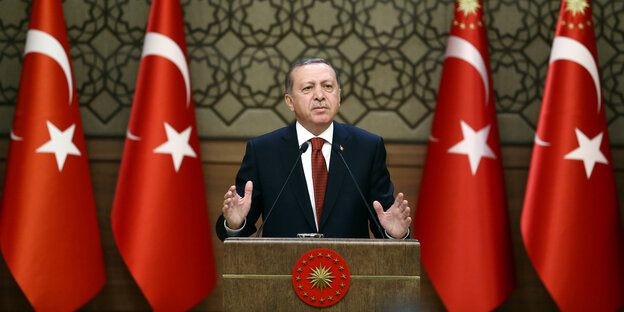Tayyip Erdogan und türkische Fahnen Tayyip Erdogan und türkische Fahnen