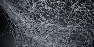 Ein komplexes Spinnennetz voller Tautropfen