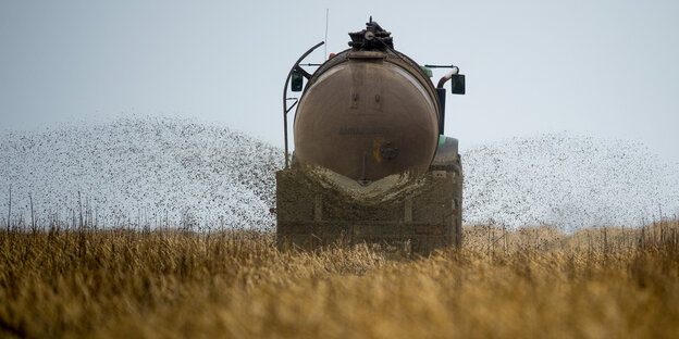 Ein Tankwagen verteilt Gülle auf einem Feld