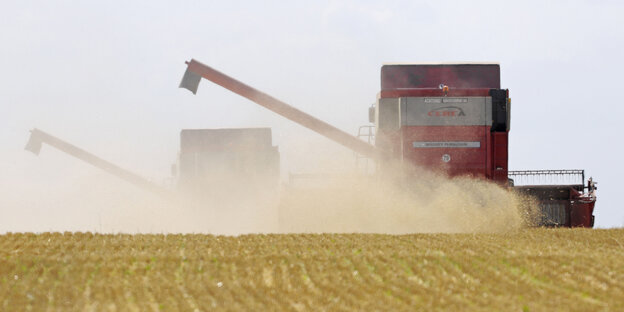 Zwei riesenhafte Mähdrescher ernten Wintergerste. Das Korn staubt durchs Bild.