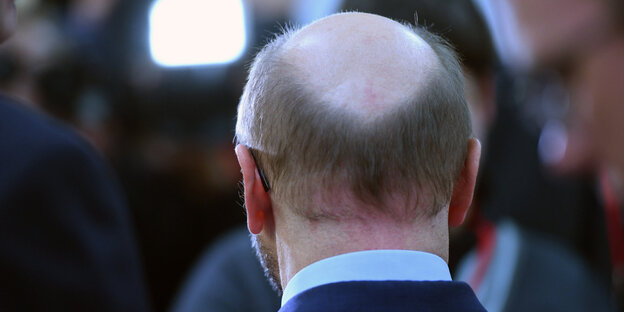 der Kopf von Martin Schulz von hinten der Kopf von Martin Schulz von hinten