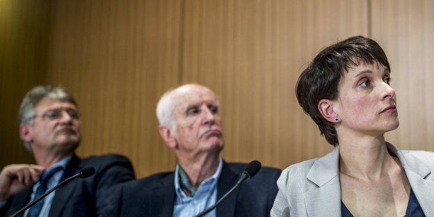 Jörgen Meuthen, Albrecht Glaser und Frauke Petry blicken nach rechts Jörgen Meuthen, Albrecht Glaser und Frauke Petry blicken nach rechts