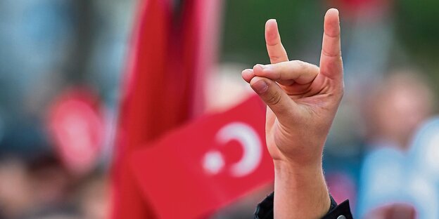 Eine zum Wolfsgruß geformte Hand vor einer türkischen Fahne Eine zum Wolfsgruß geformte Hand vor einer türkischen Fahne