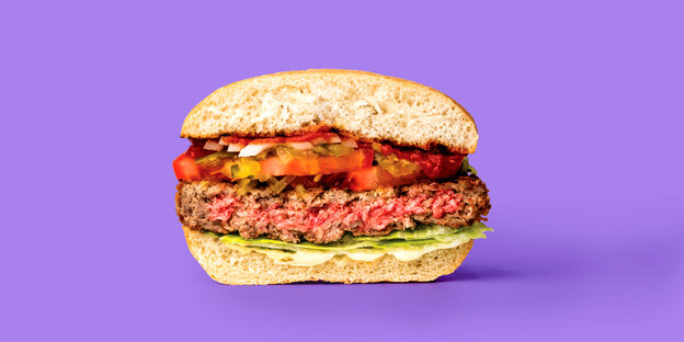 Der Querschnitt eines Hamburgers Der Querschnitt eines Hamburgers
