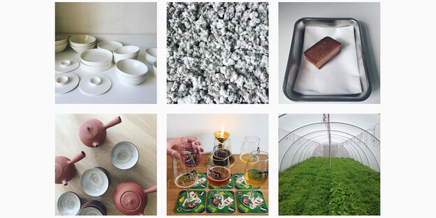 Mehrere kleine Fotos von Tellern, einem Gewächshaus, einem Stück Fleisch usw. Mehrere kleine Fotos von Tellern, einem Gewächshaus, einem Stück Fleisch usw.