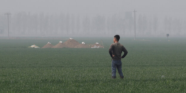 Mann auf einem Feld vor Rongcheng Mann auf einem Feld vor Rongcheng