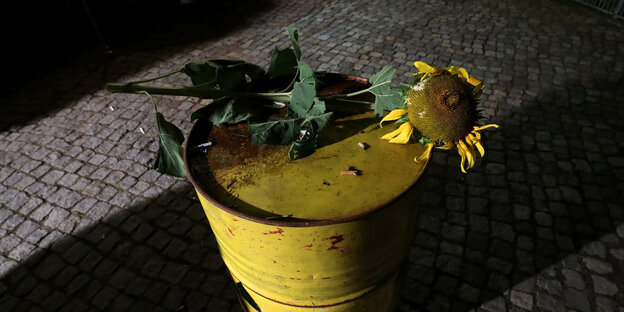 Eine welke Sonnenblume liegt auf einer gelben Tonne