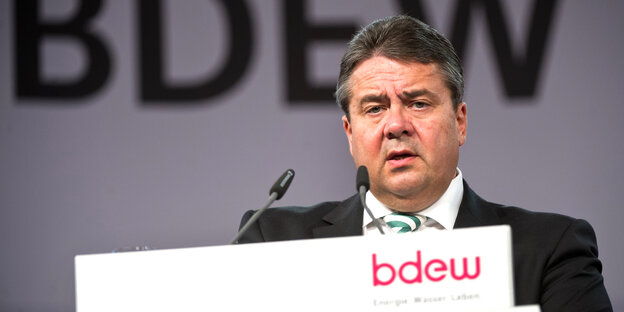 Minister Sigmar Gabriel beim Energieverband