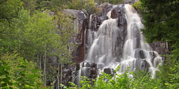 Ein Wasserfall im Wald