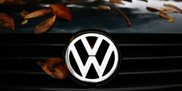 VW-Logo an einer mit etwas Herbstlaub bedeckten Motorhaube VW-Logo an einer mit etwas Herbstlaub bedeckten Motorhaube