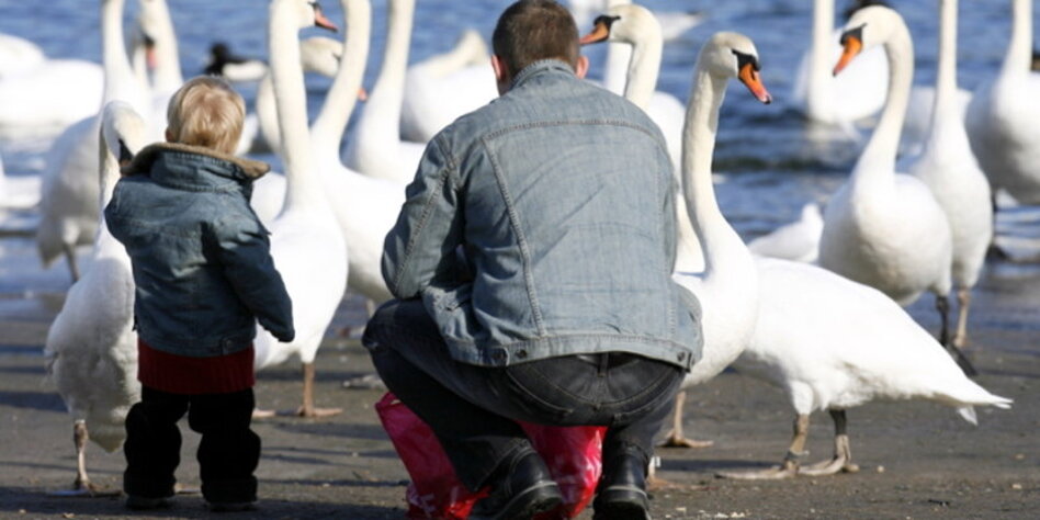 Kind will vater kennenlernen