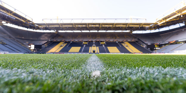 Rasen in einem Stadion