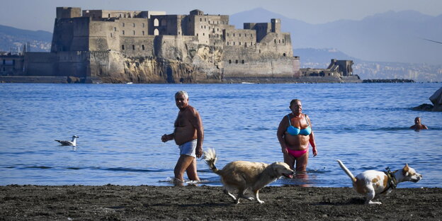 Zwei Menschen und zwei Hunde am Wasser, dahinter eine Stadt Zwei Menschen und zwei Hunde am Wasser, dahinter eine Stadt