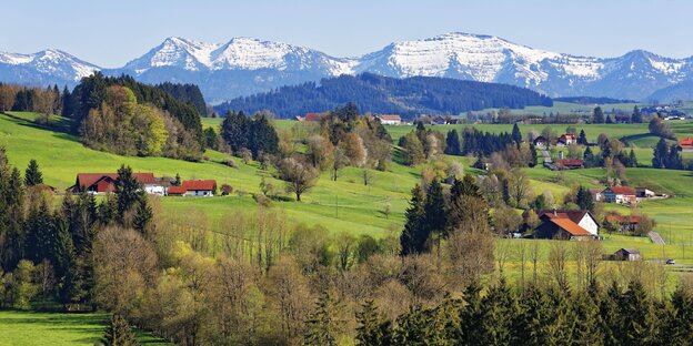 Wiesen mit Bauernhäuser, im Hintergrund Berge