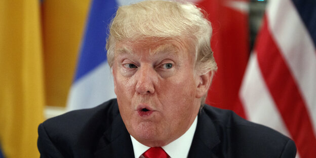 Trump im Porträt vor mehreren Flaggen Trump im Porträt vor mehreren Flaggen