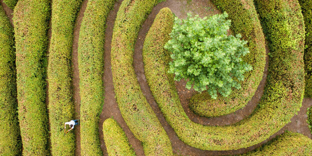 Ein Irrgarten aus der Luft aufgenommen