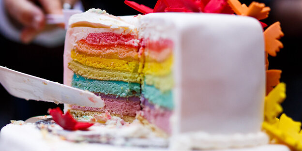 Eine Torte in Rgenbogenfarben Eine Torte in Rgenbogenfarben