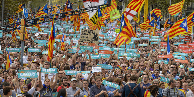 Demonstrationszug mit Flaggen und Transparenten