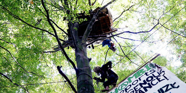 Ein Aktivist klettern im Hambacher Forst auf einen Baum Ein Aktivist klettern im Hambacher Forst auf einen Baum