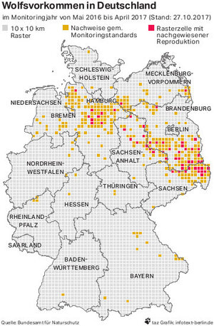 Karte der Wolfsvorkommen in Deutschland Karte der Wolfsvorkommen in Deutschland