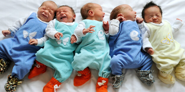 Fünf Babys nebeneinander Fünf Babys nebeneinander