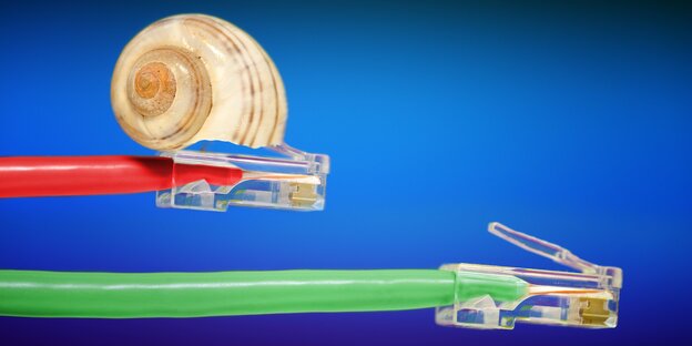 Ein Schneckenhäuschen auf einem Kabel Ein Schneckenhäuschen auf einem Kabel