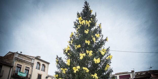 Ein Tannenbaum steht auf einem öffentlichen Platz und ist mit gelben Schleifen geschmückt Ein Tannenbaum steht auf einem öffentlichen Platz und ist mit gelben Schleifen geschmückt