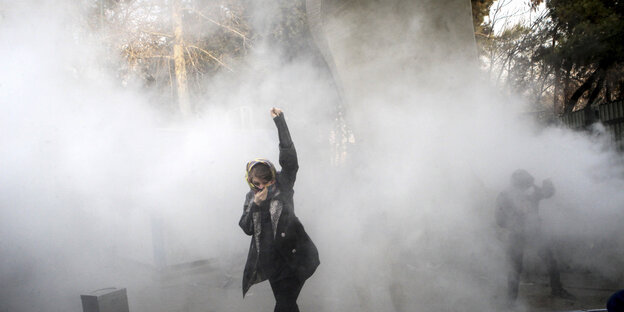 Eine einzelne Demonstrantin steht mit gereckter Faust vor einer weißen Rauchwolke Eine einzelne Demonstrantin steht mit gereckter Faust vor einer weißen Rauchwolke