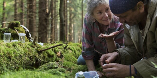 Ein Mann und eine Frau hocken auf einem Waldboden, die Frau hat einen Käfer auf der Hand, der Mann füllt etwa in ein Fläschchen. Ein Mann und eine Frau hocken auf einem Waldboden, die Frau hat einen Käfer auf der Hand, der Mann füllt etwa in ein Fläschchen.