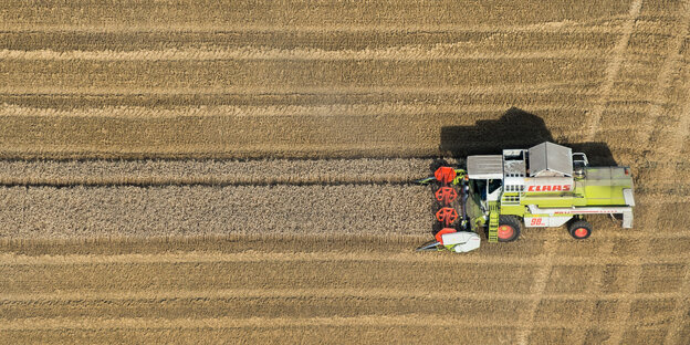 Foto eines Mähdreschers bei der Ernte Foto eines Mähdreschers bei der Ernte
