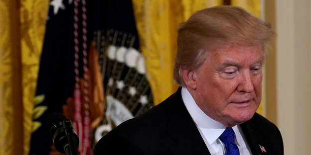 Porträt Trump Porträt Trump