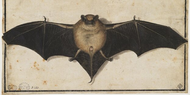 Kunstwerk mit Fledermaus Kunstwerk mit Fledermaus