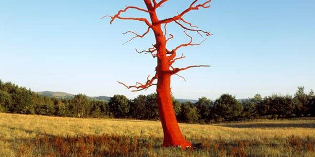 Ein roter Baum auf einer Wiese Ein roter Baum auf einer Wiese