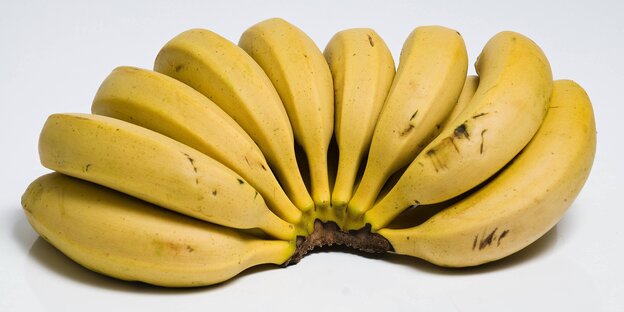 ein Bündel reifer Bananen ein Bündel reifer Bananen