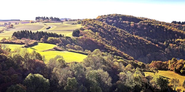 Blick auf eine Mittelgebirgslandschaft mit herbstlichem Wald und Wiesen