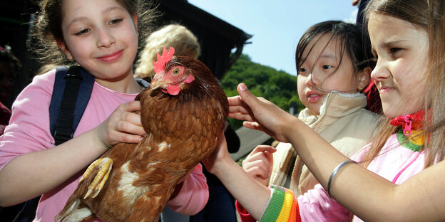 Kinder halten ein Huhn Kinder halten ein Huhn