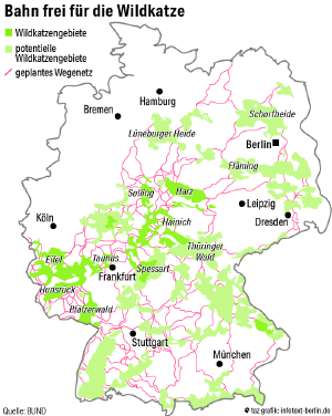 Eine Deutschlandkarte, auf der das Wildkatzenwegenetz visualisiert ist Eine Deutschlandkarte, auf der das Wildkatzenwegenetz visualisiert ist