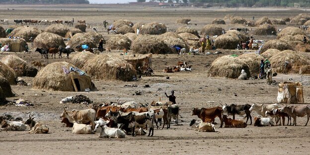 Dorfplatz in Mali mit Zelten und Kühen Dorfplatz in Mali mit Zelten und Kühen