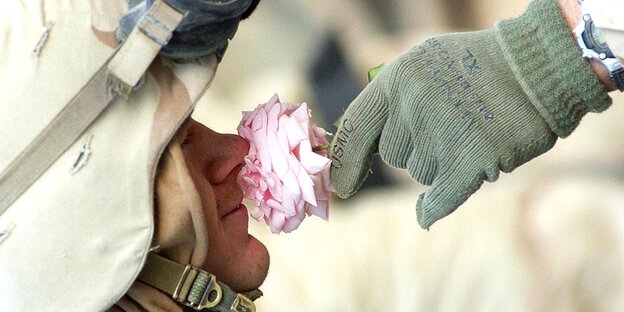Eine Hand hält einem Soldaten eine rosafarbene Blume unter die Nase Eine Hand hält einem Soldaten eine rosafarbene Blume unter die Nase