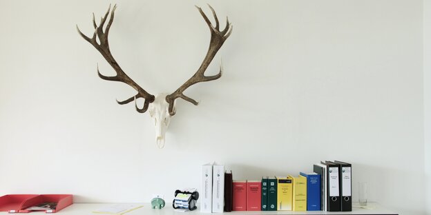 Ein Geweih hängt an einer Wand, darunter stehen auf einem Regal aufgereiht mehrere Aktenordner. Ein Geweih hängt an einer Wand, darunter stehen auf einem Regal aufgereiht mehrere Aktenordner.