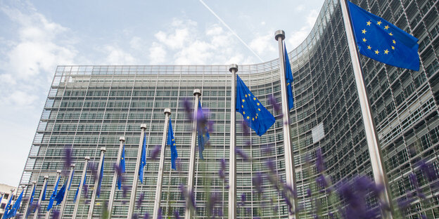 EU-Fahnen vor einem Gebäude EU-Fahnen vor einem Gebäude