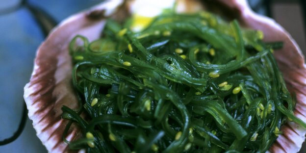Ein Salat aus grünen Seealgen ist auf einer Muschelschale drapiert Ein Salat aus grünen Seealgen ist auf einer Muschelschale drapiert