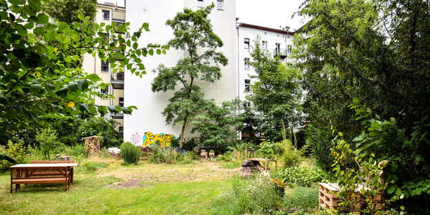 Ein Garten hinter einer Front von Häusern Ein Garten hinter einer Front von Häusern