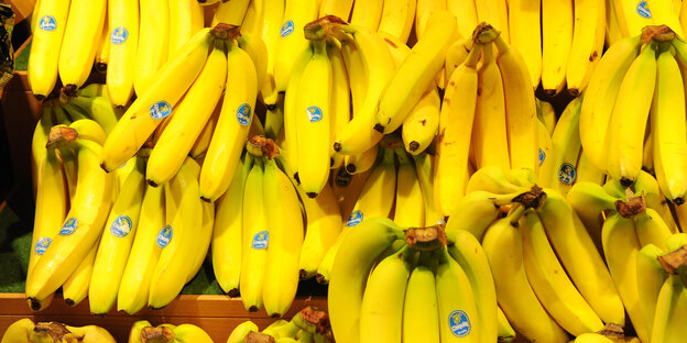 Bananen in einer Supermarktauslage Bananen in einer Supermarktauslage