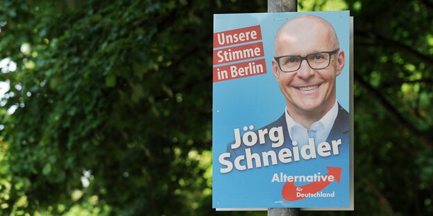 Ein Wahlplakat des AfDlers Jörg Schneider hängt an einer Laterne Ein Wahlplakat des AfDlers Jörg Schneider hängt an einer Laterne