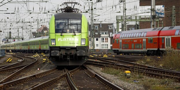Ein Flixtrain und eine Regionalbahn fahren in unterschiedliche Richtungen. Ein Flixtrain und eine Regionalbahn fahren in unterschiedliche Richtungen.