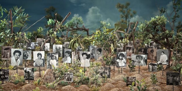 Bilder von Toten in den Sand gesteckt Bilder von Toten in den Sand gesteckt