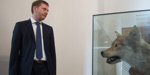 Michael Kretschmer und ein präparierter Wolf im Glaskasten